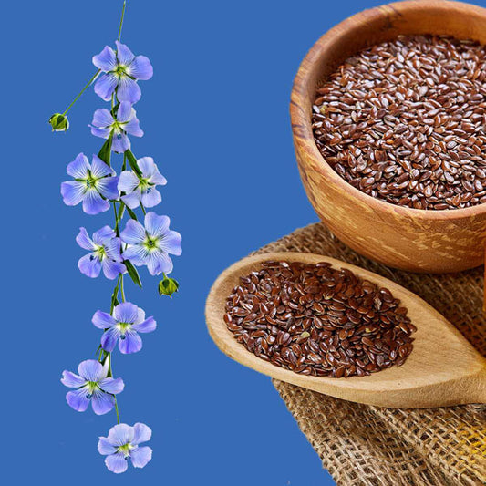 Seven Reasons Why You Need Flaxseed Capsules Daily